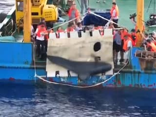 Geredde walvis zwemt weer in open zee ten zuiden van China