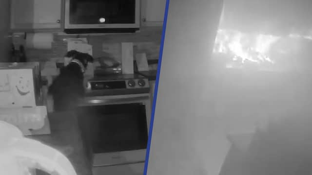 Bewakingscamera filmt hoe hond keuken in brand zet in VS