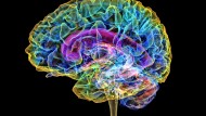 Gehirn gegen Computer: Wie die KI noch besser wird