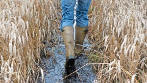 Landwirte investieren kaum noch