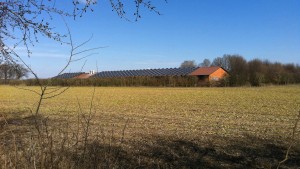 Die Turbolandwirtschaft stößt an die Grenzen der Natur