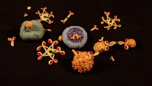Neuartige Immuntherapie mit CAR-T-Zellen