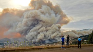 Drei Tote bei Waldbränden auf Madeira