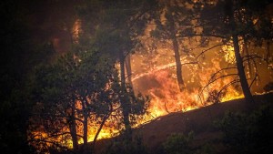 Brände auf Rhodos weiter außer Kontrolle