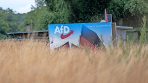 Wie halten es ostdeutsche Unternehmer mit der AfD?