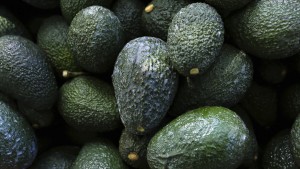USA verbieten Avocado-Lieferungen aus Mexiko