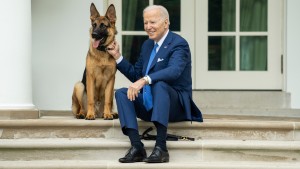 Impeachment-Ermittlungen, Shutdown und ein bissiger Hund
