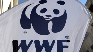 Russland verbietet WWF
