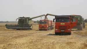 95 Euro Zoll auf russisches Getreide