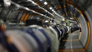 Wiesel legt „Large Hadron Collider“ lahm