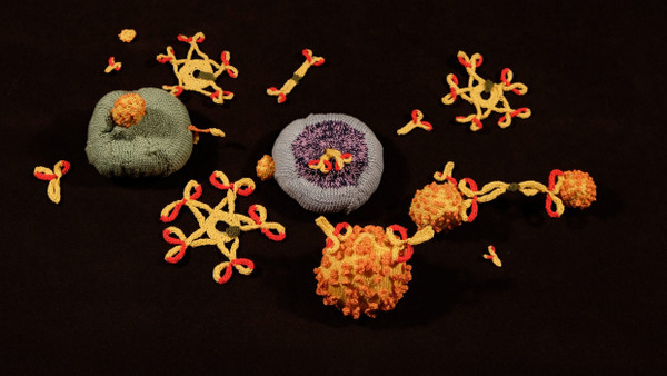 Um das Prinzip der passgenau designten Immunzellen zu verdeutlichen, hat die Ärztin Katharina Saberning (www.katharinasaberning.at) Modelle von ihnen gestrickt