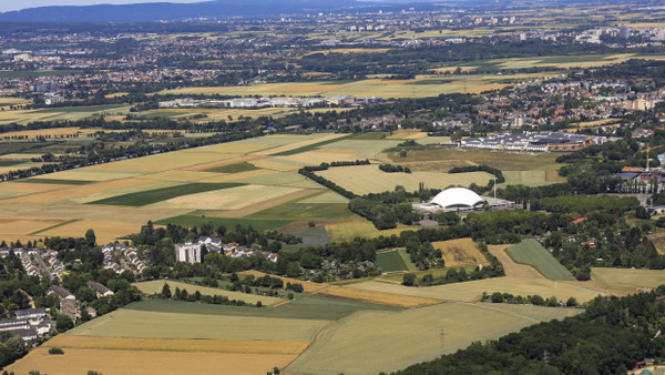 Der Schein trügt: Das Areal an der Frankfurter Jahrhunderthalle sieht sehr ländlich aus – doch der Industriepark ist nah.