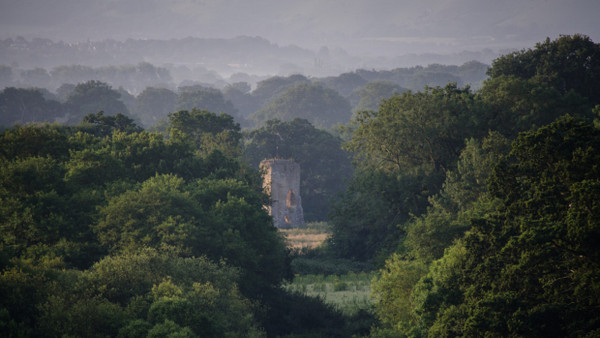 Wilde, malerische Natur mit Ruine auf dem Estate Knepp Castle im Südosten Englands.