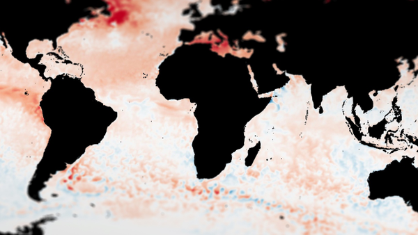 Abweichung der Meeresoberflächentemperatur am 24. Juli 2023 vom langjährigen Mittel 1971 – 2000. Rote Bereiche zeigen eine Erwärmung, blau Bereiche eine Abkühlung. Daten: NOAA