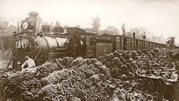 Um 1915: Bananen werden auf den Zug der United Fruit Company geladen.