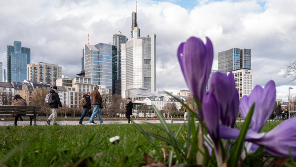 Die Türme hoch, die Zukunft blühend: Als deutsche Finanzmetropole gilt Frankfurt bereits, nun soll aus ihr noch eine echte Marke werden.