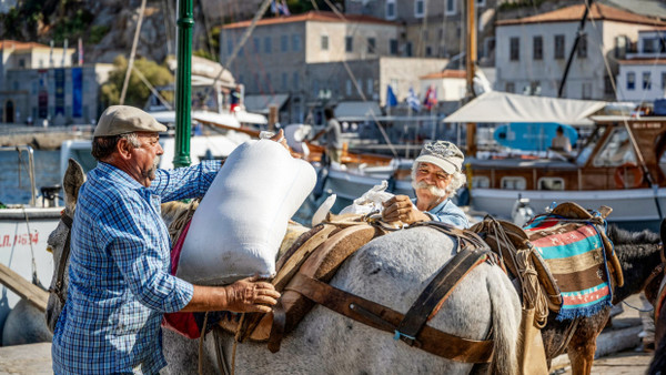 Traditionell: Warentransport per Esel auf der Insel Hydra