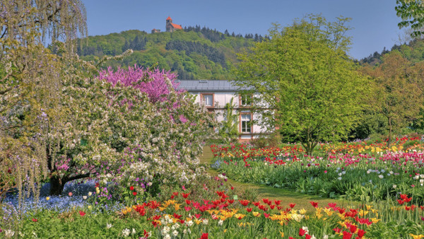 Der Hermannshof ist nicht nur ein Gartenparadies, sondern auch ein international renommiertes Forschungszentrum.