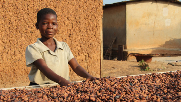 Die neunjährige Moahe hilft im Dorf Konan Yaokro im Süden der Elfenbeinküste dabei, vor Kurzem geerntete Kakaobohnen in der Sonne zu trocknen.