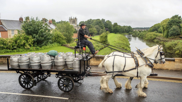 Ein Angestellter der Brauerei „Samuel Smith Old Brewery“ liefert Bier per Pferdekutsche an örtliche Pubs. Das Foto stammt nicht aus dem letzten Jahrhundert, sondern von Juli 2020.
