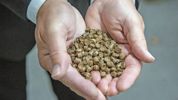 Wertvoller Rohstoff: Bernd Epple zeigt zwei Handvoll Strohpellets, aus denen er Biotreibstoff gewinnt.