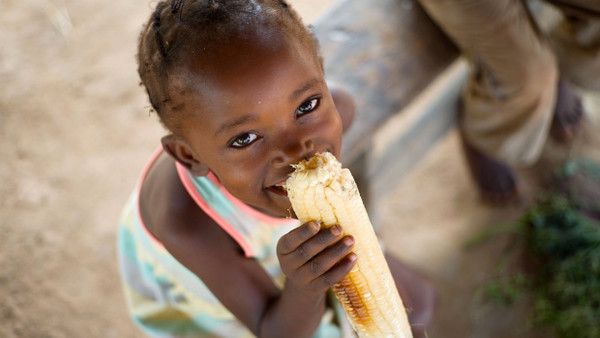 Macht satt, aber nicht gesund: Die meisten Kinder in Afrika essen weißen Mais. So auch Comfort Kangwa, die Tochter des sambischen Bauern Felix Kangwa.