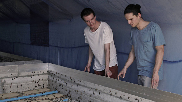 Das große Krabbeln: Timo Bäcker und Christopher Zeppenfeld mit ihren Insekten