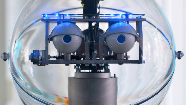 Welche Leistungen übernehmen künftig Roboter?