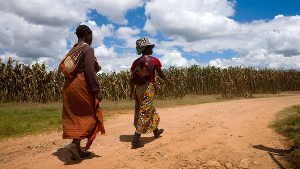 Auch für die Bauern in Sambia, die wir in dem Projekt „Race to feed the world“ begleiten, können sich die Arbeits- und Anbaubedingungen schnell ändern.