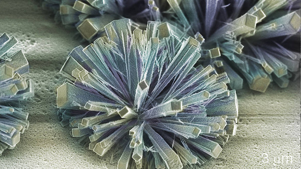 Mikrometergroße Büschel von Diamanten unter dem Elektronenmikroskop