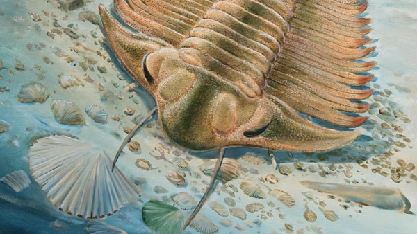 Schlemmen im Ordovizium: Ein Trilobit der Art Bohemolichas incola inmitten seiner Leibspeisen.
