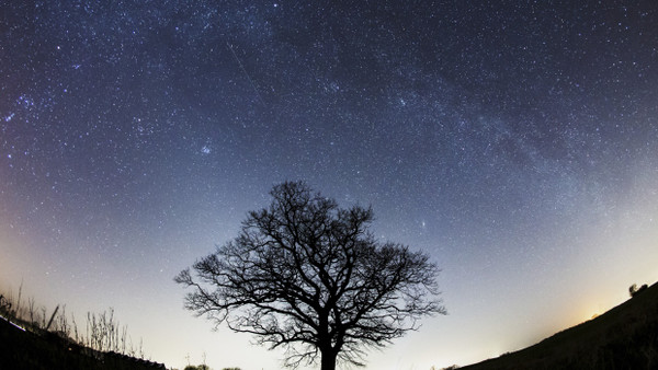 Bald ist es einer mehr: Das Sternbild Nördliche Krone steht in unseren Breiten das Ganze Jahr über am Himmel, allerdings nur bis August während der Nachtstunden.