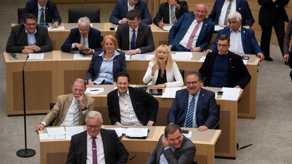 Die AfD im Landtag von Baden-Württemberg