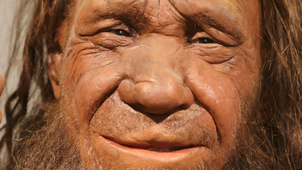 Die Nachbildung eines Neandertalers im Neandertal-Museum in Mettmann.