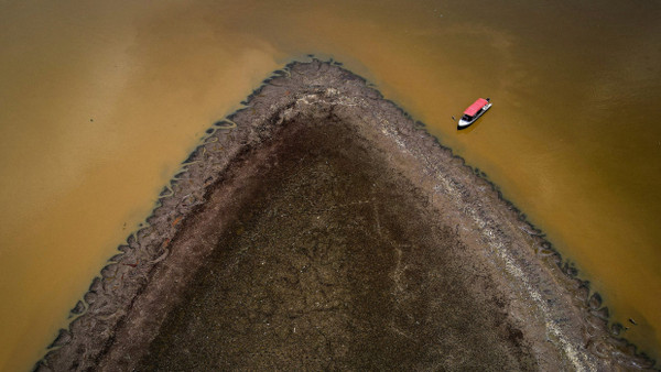 Zahlreiche Fische sterben im Piranha-See, der von der Dürre des Solimões-Flusses in Bundesstaat Amazonas in Brasilien betroffen ist.