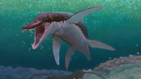 Diese künstlerische Darstellung zeigt den Pliosaurier Lorrainosaurus.
