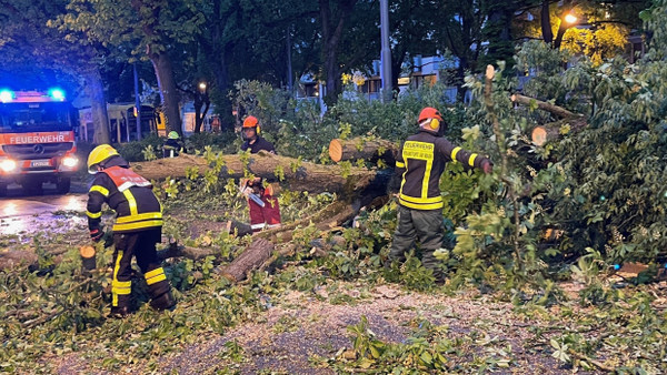 Frankfurter Feuerwehrleute arbeiten am Montagabend an der Beseitigung eines umgestürzten Baumes.