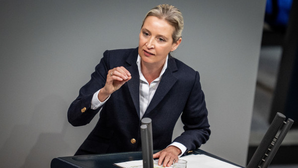Mit den Gebrüdern Grimm kennt sie sich nicht aus: Alice Weidel während der Generaldebatte im Bundestag