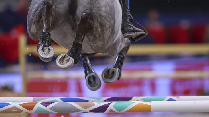 Beim Weltcup-Finale in Riad stirbt ein Pferd. (Symbolbild)