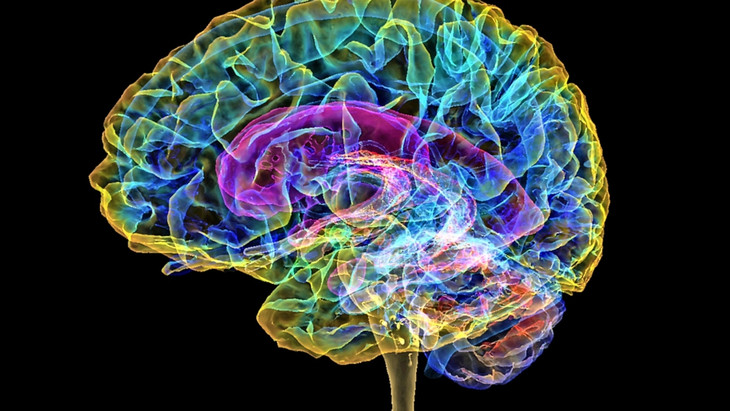 Die Integration von Erkenntnissen aus Hirnforschung und KI eröffnet neue Perspektiven.