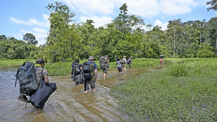Touristen auf dem Weg zur Dzanga Bai im Dzanga-Ndoki-Nationalpark