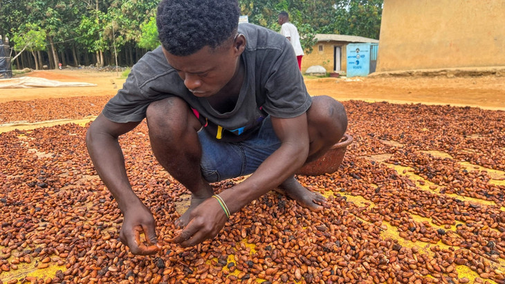 Kinderarbeit ist in der Kakaobranche ausgeprägt.