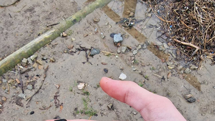 Spielzeug-Schatz am Strand: Liutauras Cemolonskas sucht schon über zwei Jahren nach diesem Plastik-Kraken.