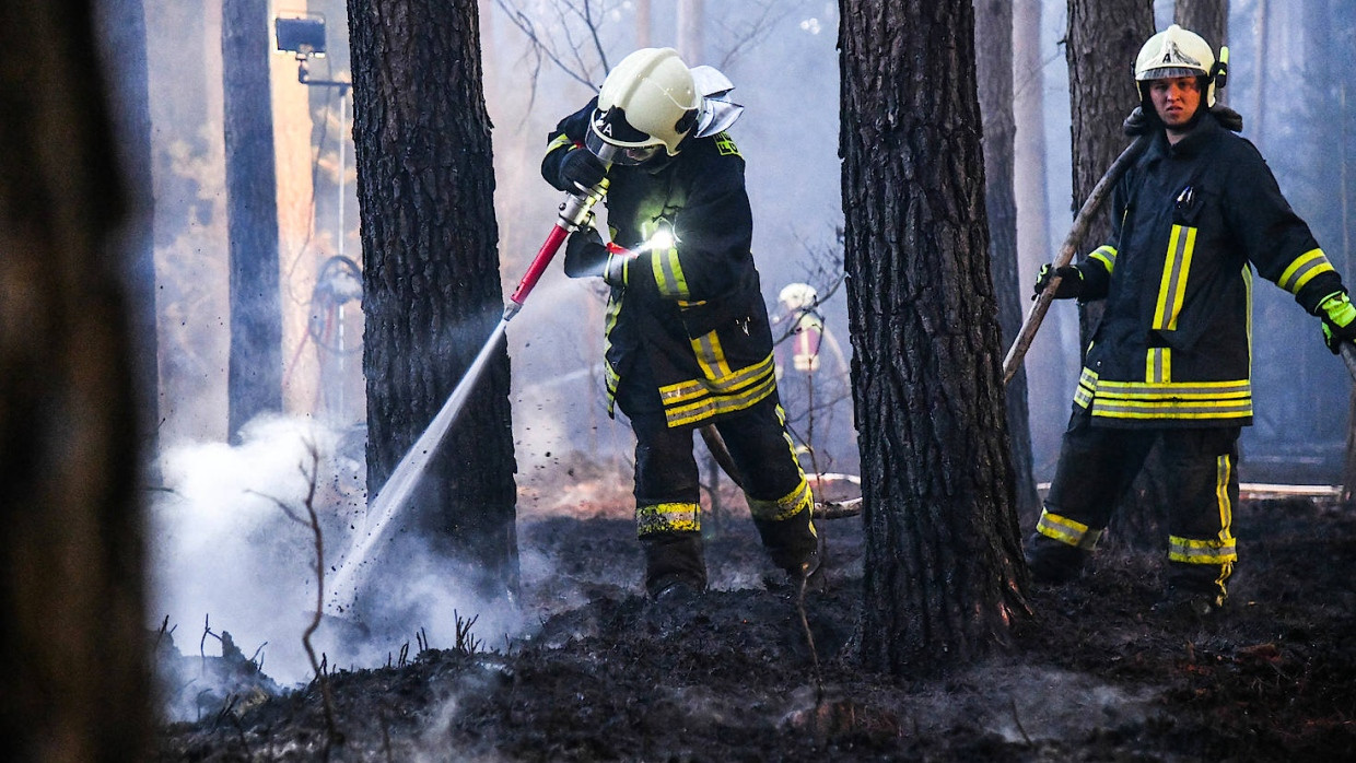 Feuerwehrleute löschen einen Waldbrand in einem Waldstück im nördlichen Brandenburg.