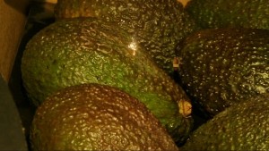 Gegen den Plastikmüll: Avocados mit Laser-Tatoo im Supermarkt