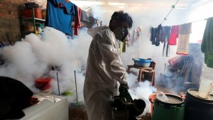 Fälle von Dengue-Fieber verdreifacht