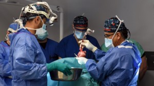 Zweiter Transplantationspatient mit Schweineherz gestorben