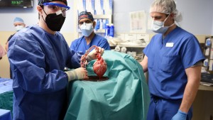 Erster Transplantationspatient mit Schweineherz gestorben