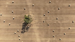 Die Landwirtschaft leidet – aber noch nicht so wie 2018