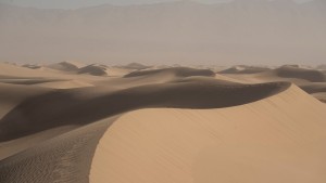 Der Wüstenluft abgerungen